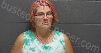 WEAVER, ANGELICA DEE LYNN | 2021-08-08 22:52:00 Montgomery County, Indiana Booking