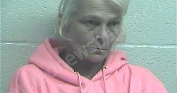 PARSONS, PRISCILLA | 2021-08-08 03:17:00 Jessamine County, Kentucky Booking