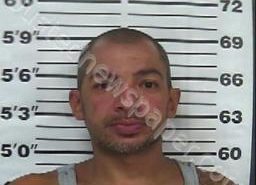 OCTAVIO LUVIANO | 2021-08-09 22:01:00 Gibson County, Tennessee Booking