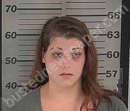 MEGAN SHARP #, Dyer County, Tennessee - 2021-08-10 20:17:00