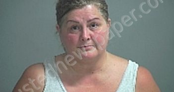DINAN JENI LYN | 2021-08-10 Sandusky County, Ohio Booking