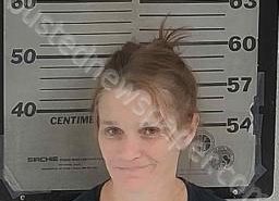 <B>GINGER</B> <B>PATTERSON</B> #, Dyer County, Tennessee - 2021-08-11 15:20:00