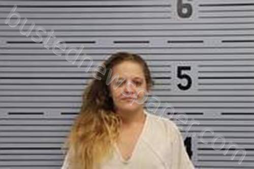 JESSICA DEAN FINLEY #, Jackson County, Alabama - 2021-08-11 08:38:00