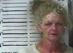 KRISTI BLANKENSHIP | 2021-08-11 02:37:00 Gibson County, Tennessee Booking