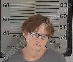VICKEY COPELAND #, Dyer County, Tennessee - 2021-08-11 03:29:00