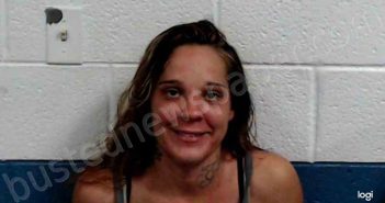 CLARK, AMY MICHELLE | 2021-08-11 21:30:00 Ohio County, West Virginia Booking