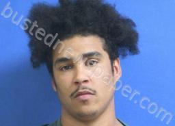<B>JAMES</B> <B>JACKSON</B> #, Dickson County, Tennessee - 2021-08-13 22:41:00