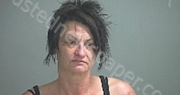 HONAKER WENDY LEE | 2021-08-14 Sandusky County, Ohio Booking