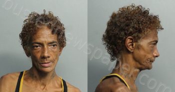 TAYLOR, BARBARA | 2021-08-15 16:03:00 Miami-Dade County, Florida Booking