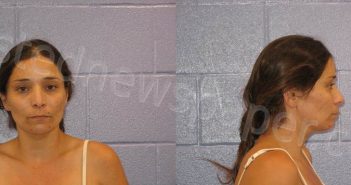 BERMEA, DAISY | 2021-08-16 Andrews County, Texas Booking