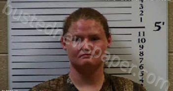 FRADY, ASHLEIGH NICOLE | 2021-08-17 23:20:00 Cherokee County, North Carolina Booking
