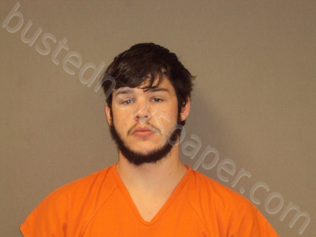 JOHNSON, MICHAEL DYLAN #, Randolph County, Missouri - 2021-08-18 09:50:00