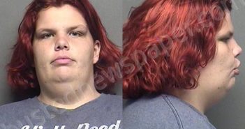 ARDIS,BRITTANY NICOLE | 2021-08-22 01:10:00 Saline County, Kansas Booking