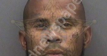 MINGO,JOSEPH | 2021-08-23 23:10:00 Hillsborough County, Florida Booking