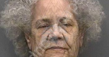 POWELL,JOE ANN | 2021-08-23 23:33:00 Hillsborough County, Florida Booking