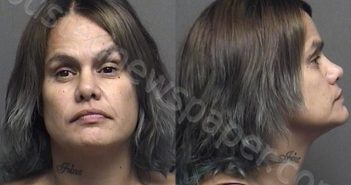 REBELEZ,DEEANNA SUE | 2021-08-23 12:30:00 Saline County, Kansas Booking
