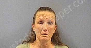 DURFEY TRACIE J | 2021-08-27 Erie County, Ohio Booking