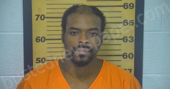 RICHARDSON, CLEVON J | 2021-08-31 00:50:00 Ottawa County, Ohio Booking