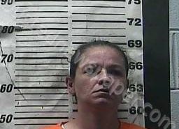 WHITNEY FOX | 2021-09-02 13:27:00 Cocke County, Tennessee Booking