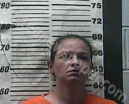 WHITNEY FOX #, Cocke County, Tennessee - 2021-09-02 13:27:00