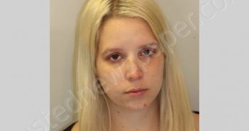 PALONE-DRYER, ANDREA R | 2021-09-02 Leon County, Florida Booking