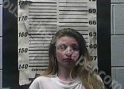 TASHA MORRIS | 2021-09-03 20:00:00 Cocke County, Tennessee Booking