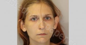 WAITES, ELIZABETH VICTORIA | 2021-09-05 Leon County, Florida Booking