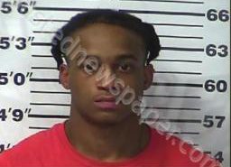 DEVONTA JONES | 2021-09-08 13:59:00 Gibson County, Tennessee Booking