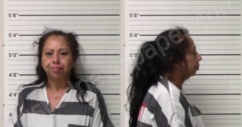 GARCIA, CYNTHIA | 2021-09-11 Kerr County, Texas Booking