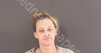 NELSON, DEANNA DANIELLE | 2021-09-13 04:42:00 Roanoke County, Virginia Booking