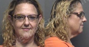 POWELL,LISSA MICHELLE | 2021-09-13 17:39:00 Saline County, Kansas Booking