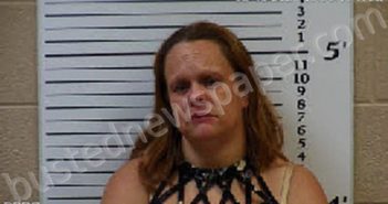 FERGUSON, JENNIFER LYNN | 2021-09-15 15:33:00 Cherokee County, North Carolina Booking