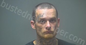 TYLER, DOMINIC RYAN | 2021-09-20 02:23:00 Isabella County, Michigan Booking