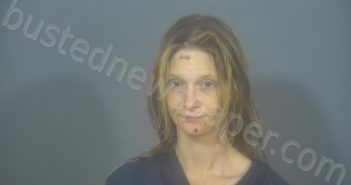<B>SNIADECKI</B>, <B>HOPE</B> <B>ANGELA</B> #, St. Joseph County, Indiana - 2021-09-29 23:18:00