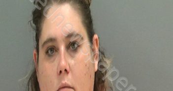 <B>PHILLIPS</B>, <B>MICHELLE</B> <B>MARTIN</B> #, Darlington County, South Carolina - 2021-10-03 14:49:00