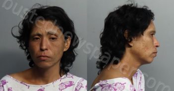 FERNANDEZ, URFE | 2021-10-06 12:38:00 Miami-Dade County, Florida Booking