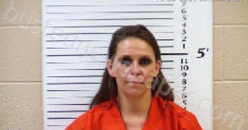 DEISHER, SARA ANN | 2021-10-08 22:50:00 Cherokee County, North Carolina Booking