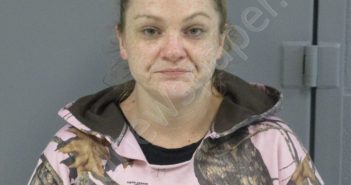 CRITES, SHEENA ELAINE | 2021-10-09 19:50:00 Pocahontas County, West Virginia Booking
