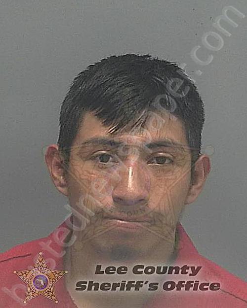 SEBASTIAN-DIEGO, MATEO #, Lee County, Florida - 2021-10-10 09:25:00