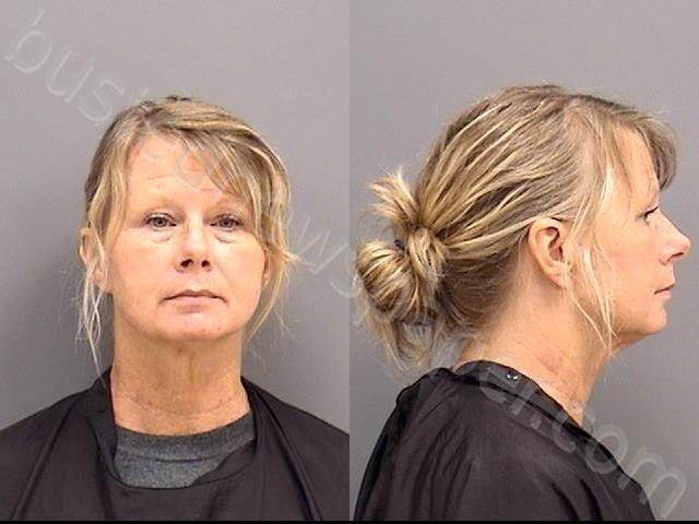 Virginia hamilton elaine landau essay 08 picture