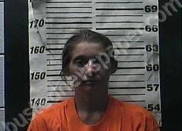 BECKY MURPHY | 2021-10-13 03:53:00 Cocke County, Tennessee Booking