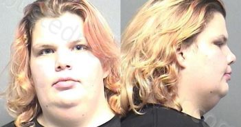 ARDIS,BRITTANY NICOLE | 2021-10-16 15:29:00 Saline County, Kansas Booking