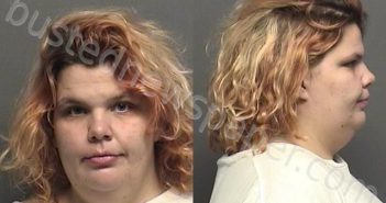 ARDIS,BRITTANY NICOLE | 2021-10-22 09:24:00 Saline County, Kansas Booking