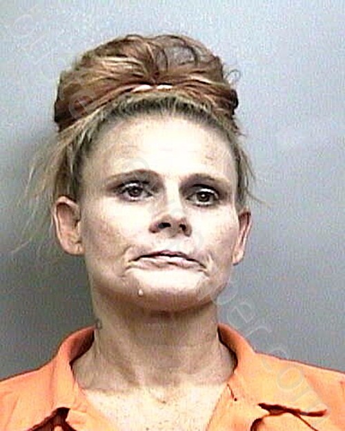 DRIVER, AMANDA DIXON #, Taylor County, Florida - 2021-10-23 13:41:00