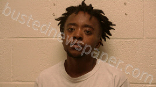 SCOTT, DAJUANNA QUASHON #, Robertson County, Tennessee - 2021-10-23 10:24:00