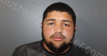 <B>GALLIGAN</B>, <B>LOUIS</B> <B>DAVID</B> #, Hardee County, Florida - 2021-10-25 02:04:00