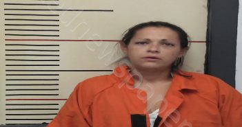 MCMILLAN, CLARISSA MARIE | 2021-10-26 20:00:00 Van Zandt County, Texas Booking