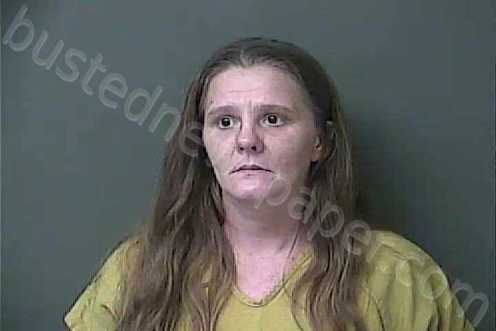VANHORN, ANGELA DAWN #, Howard County, Indiana - 2021-10-29 00:41:00
