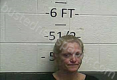 MCELFRESH, ALISHIA MARIE #, Whitley County, Kentucky - 2021-11-01 11:02:00
