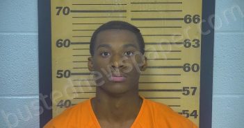WILSON, GERALD LAMAR, JR | 2021-11-05 21:11:00 Ottawa County, Ohio Booking